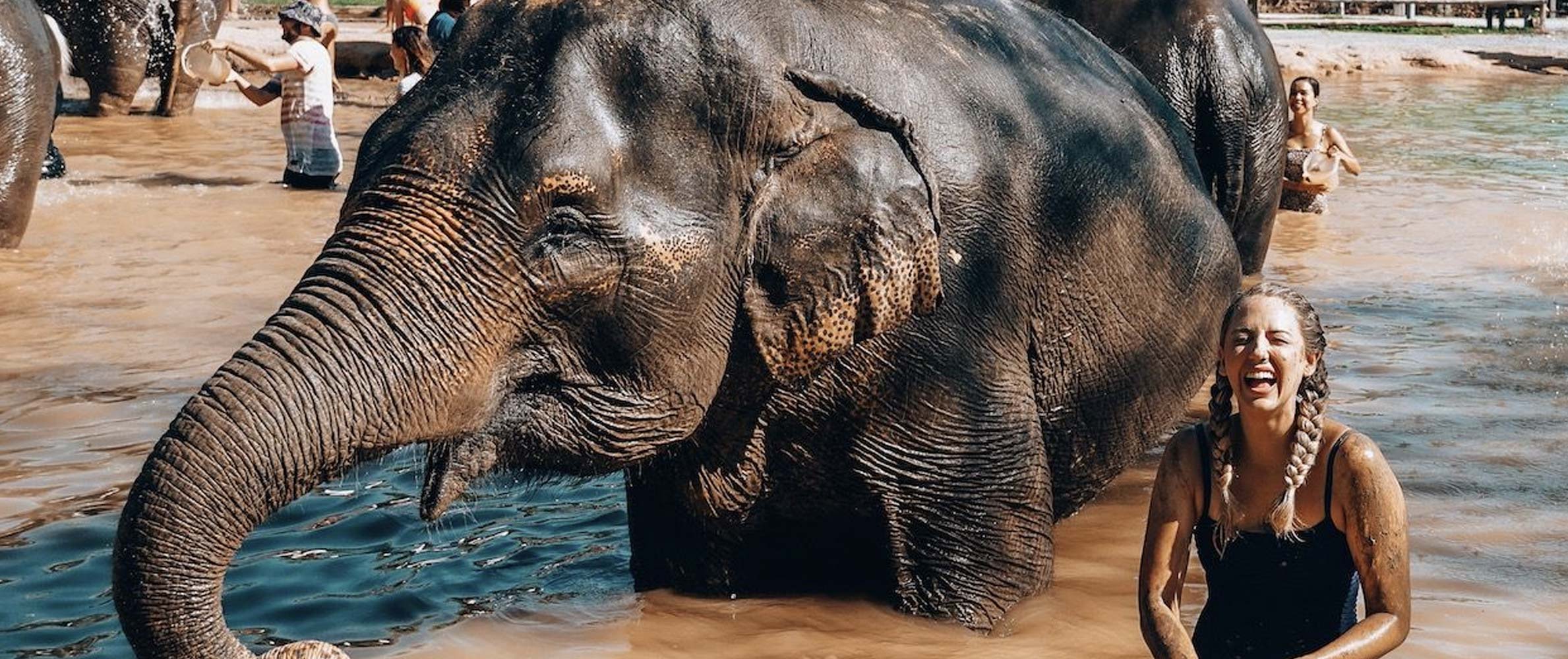 Phuket Elephant Sanctuary
