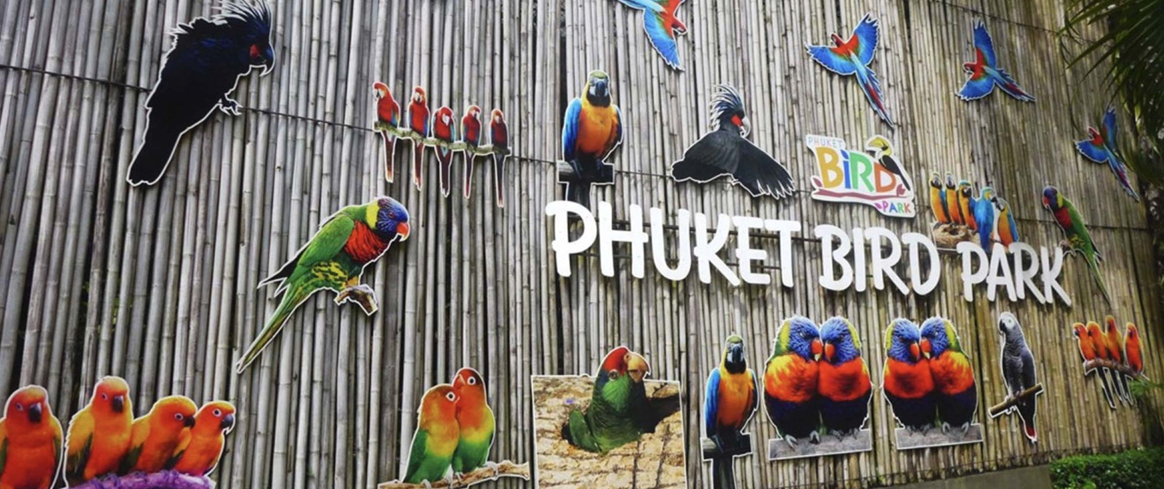 Phuket Bird Park